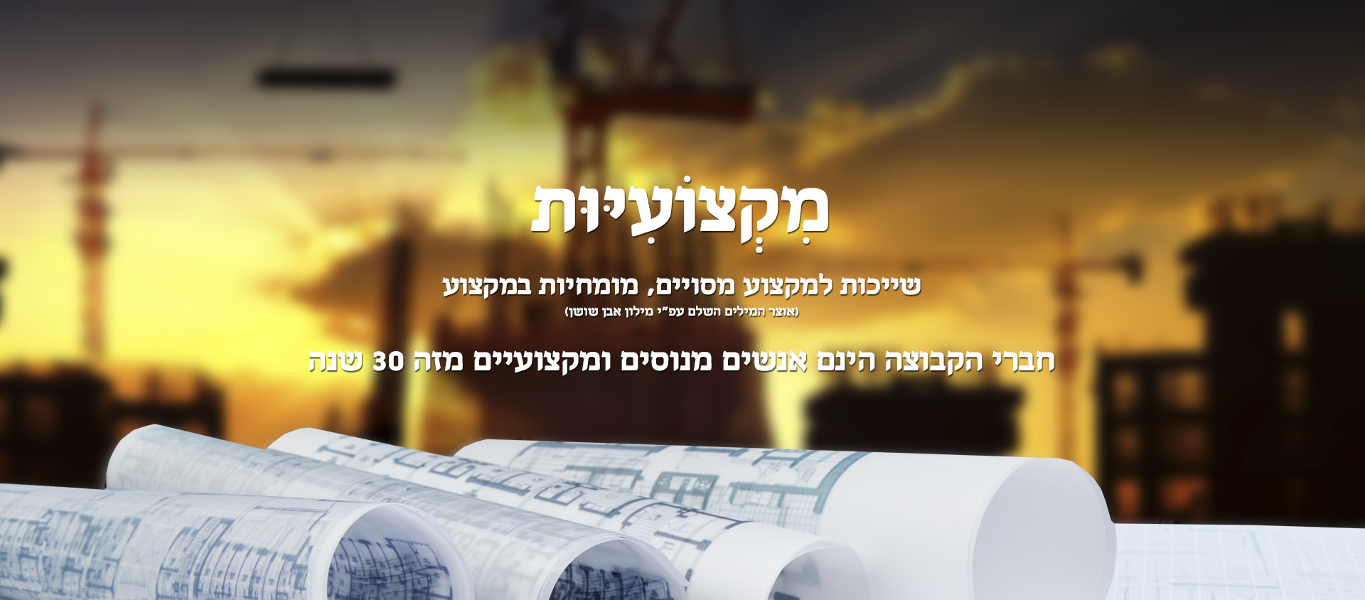 מקצועיות