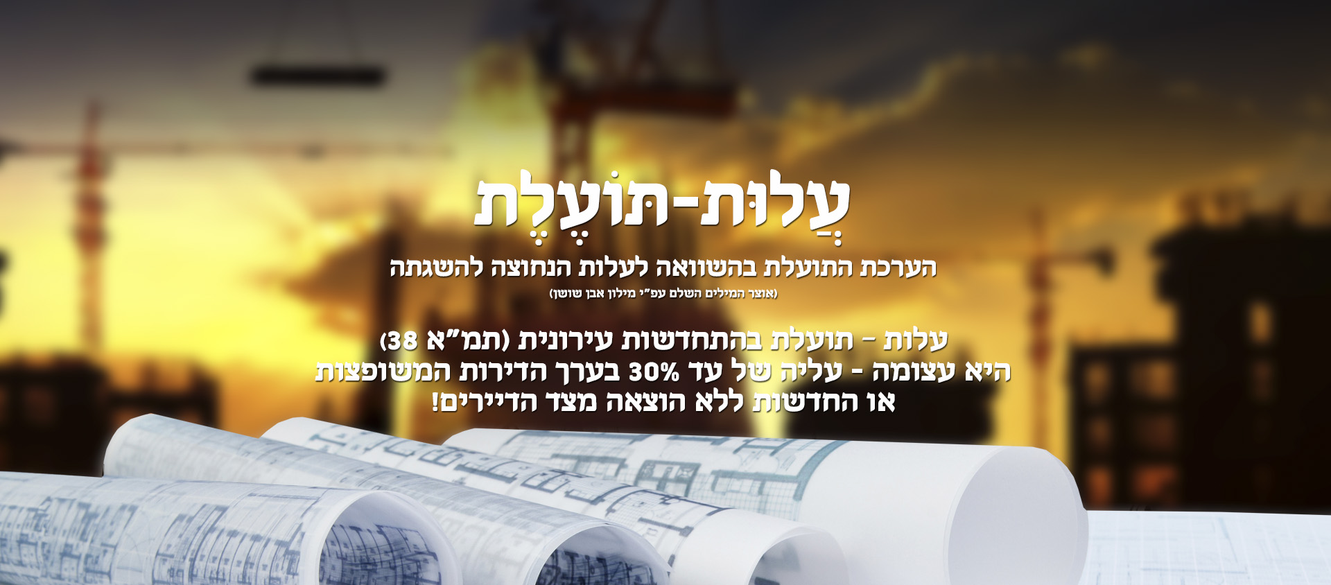 עלות תועלת